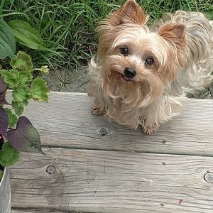 Meet your Posher, Elana